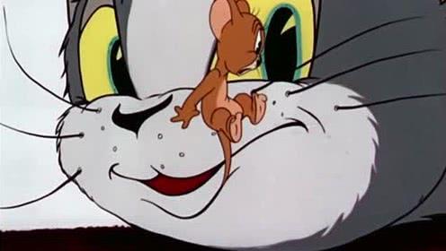 猫和老鼠游戏养宠物攻略