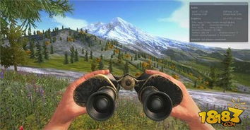 飞机坠落荒岛游戏攻略