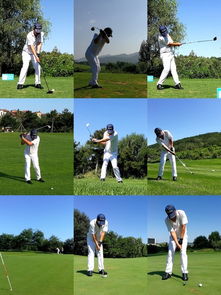 享受与大自然游戏攻略