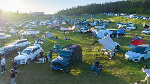 露营音乐节游戏攻略