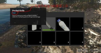 游戏荒岛求生攻略大福