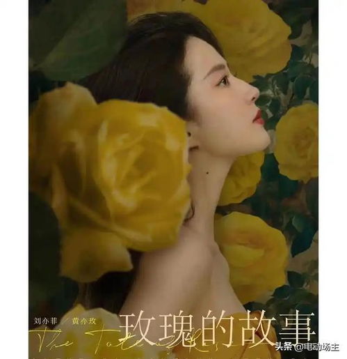 刘亦菲收了我亲手钩的黄玫瑰