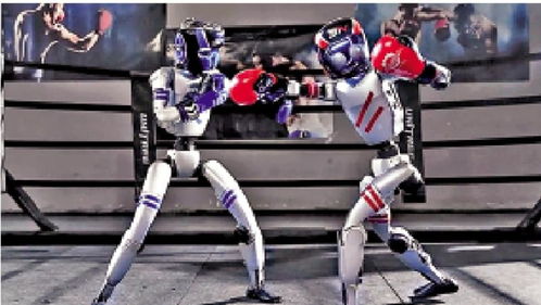 看宇树人形机器人格斗表演赛