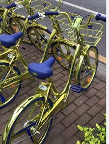 男子共享单车坐垫内放情趣用品被抓