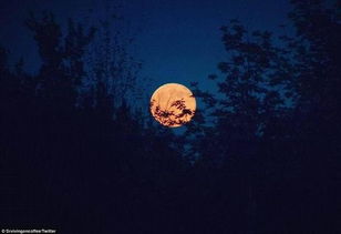 我拍到了草莓月亮