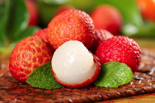 长安的荔枝演我说外语