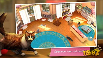 笨蛋变成猫小游戏攻略