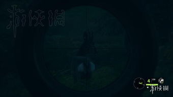 野性的呼唤游戏夜晚攻略