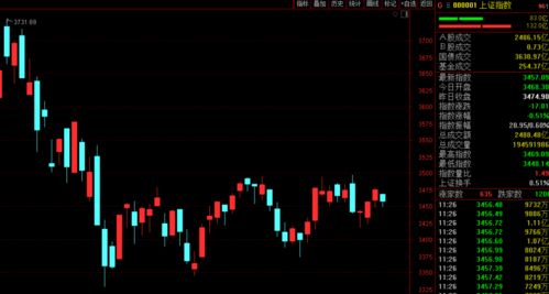 杉杉股份创始人长子全部持股被强执