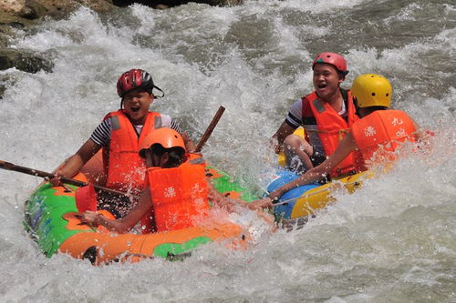 漂流宝宝游戏攻略大全