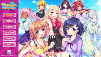 游戏魔法少女米娅 攻略