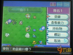 太阳怪与月亮怪游戏攻略