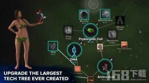 进化模拟器 小游戏攻略