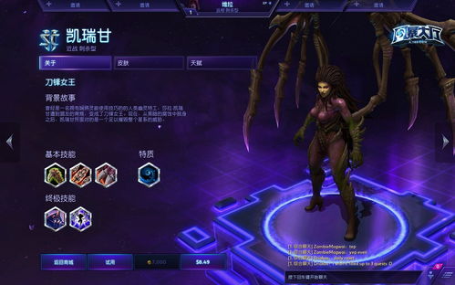 风暴英雄游戏解说(风暴英雄英雄解说视频攻略)