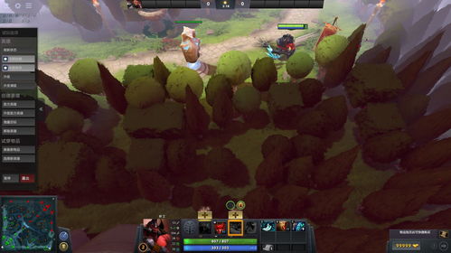 森林之眼dota2游戏截图