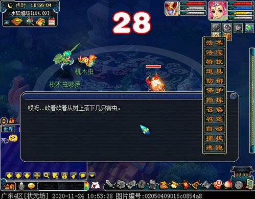 水陆大会副本攻略(梦幻水陆大会副本攻略)