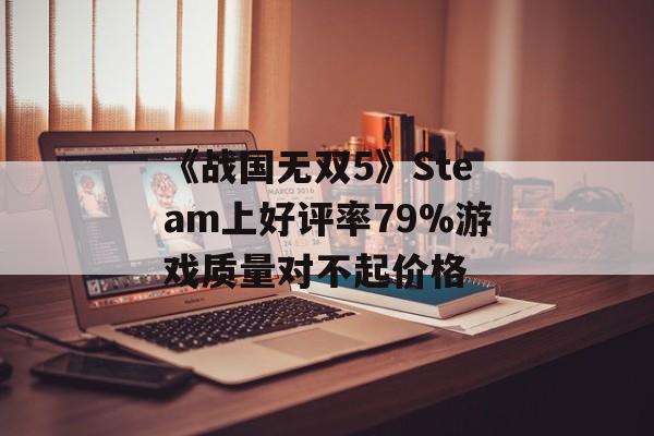 《战国无双5》Steam上好评率79%游戏质量对不起价格