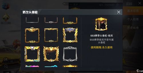和平精英一周年精英玩家怎么换？