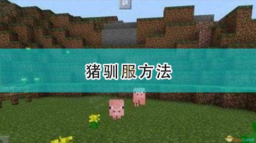 我的世界马怎么驯服？我的世界驯养马的三大技巧