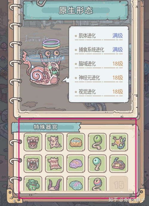 最强蜗牛哪些装备最值得获取?