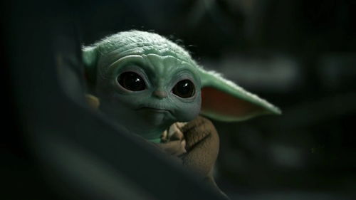 灵猫传手游怎么获得白玉糍?