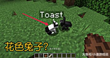 我的世界杀手兔怎么召唤? 我的世界杀手兔怎么召唤?