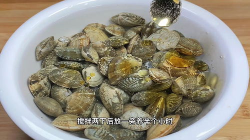 烟雨江湖女神蛤怎么烹饪?