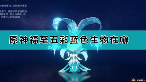 原神福至五彩红色的采集物拍照位置在哪?