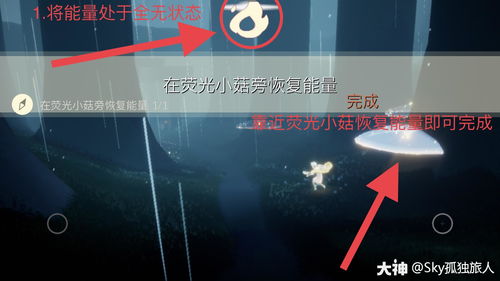 光遇怎么完成荧光森林冥想任务?