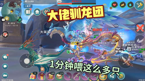 创造与魔法苍穹幻龙在哪刷新?