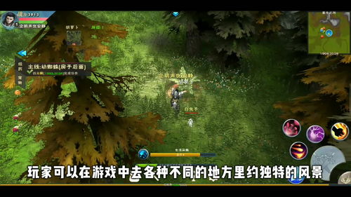 光遇手游鲤鱼池在哪?