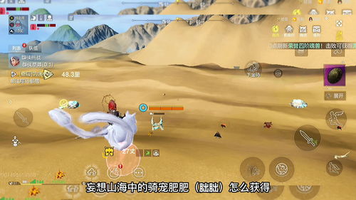 妄想山海秘宝符有什么用？