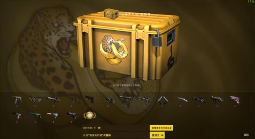 CSGO狂牙大行动烟雾弹在哪？