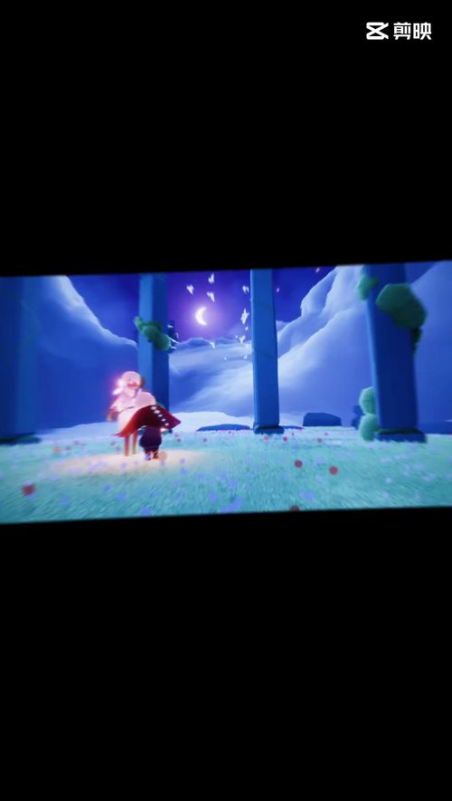 光遇小王子季卡价格是多少？