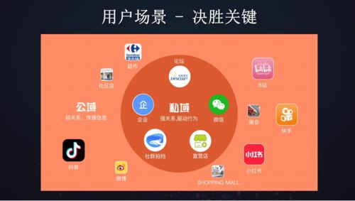最强蜗牛土地竞拍怎么解锁？