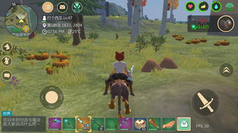 创造与魔法旧凛冬河在哪里? 创造与魔法旧凛冬河在哪里?