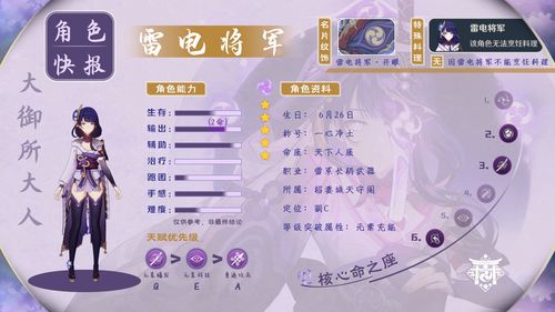 原神雷电将军怎么搭配圣遗物？