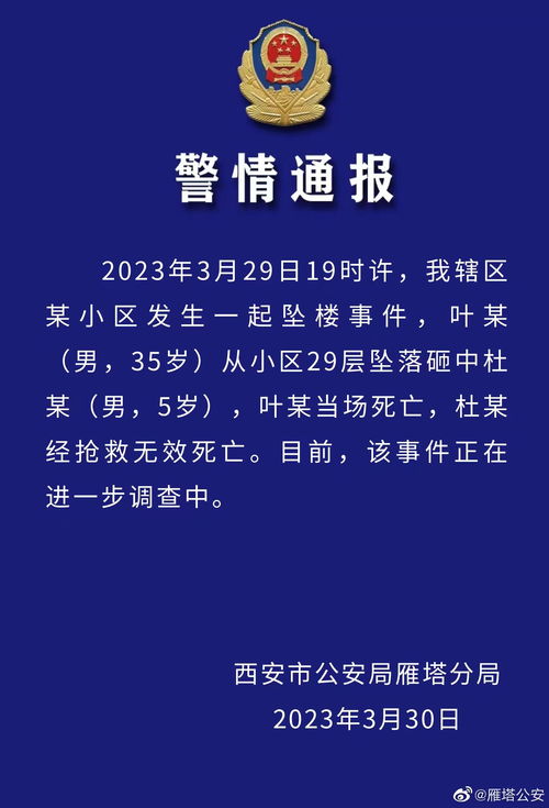 犯罪大师交通事故调查篇答案是什么？