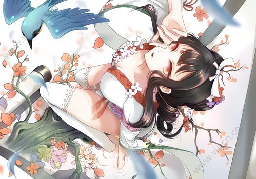 阴阳师SP花鸟卷什么时候上线？