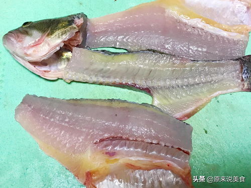 猫灵相册小鱼骨和黄金鱼干怎么获得？