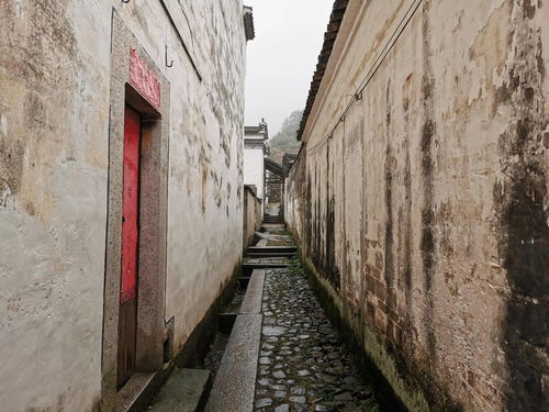 原神茂知祭场和千来神祠交界石板怎么获得？