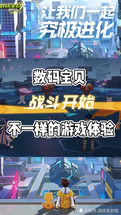 数码宝贝新世纪怎么组队？