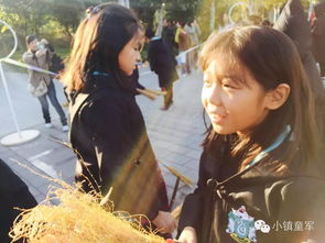 哈利波特万圣节愤怒是什么？