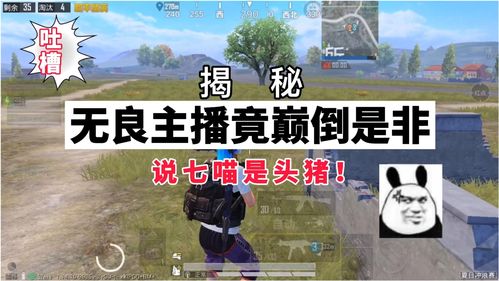 和平精英萌喵橘座什么时候上架？