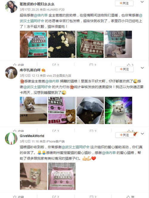 云图计划麦戈拉通行栈第二期活动怎么玩？