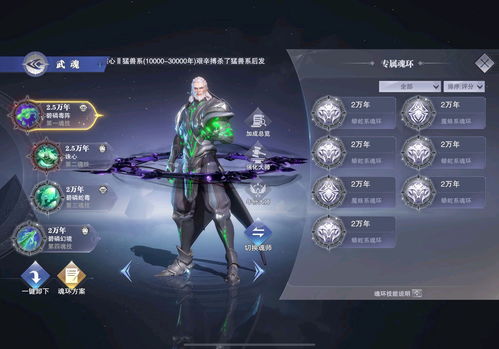 斗罗大陆魂师对决巅峰二龙怎么过?