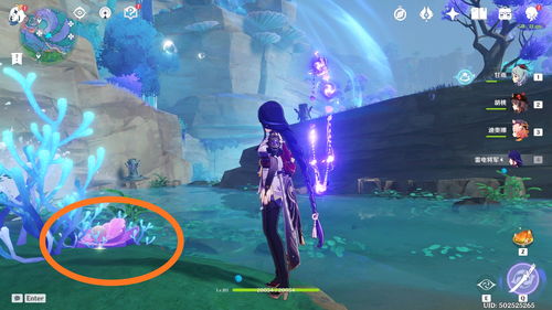 原神珊瑚珍珠在哪？