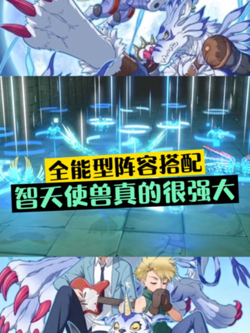 数码宝贝新世纪正义兽阵容怎么搭配？