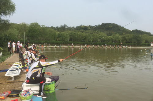 家有小店怎么钓鱼？