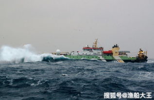 黎明之海船只如何建造 黎明之海船只介绍分享 黎明之海船只如何建造 黎明之海船只介绍分享